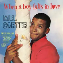 Vinyl WHEN A BOY FALLS IN LOVE