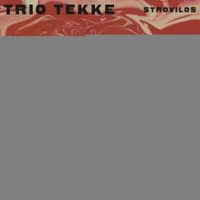 Vinyl TRIO TEKKE - STROVILOS