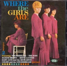 CD V/A - WHERE THE GIRLS ARE V.2