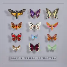 CD LEPIDOPTERA