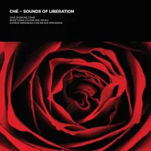 CD SOUNDS OF LIBERATION