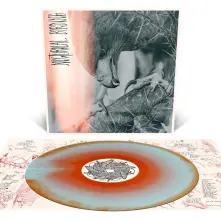 Vinyl NOCTURNAL BIRDING