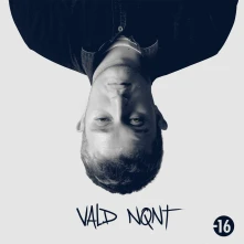 Vinyl Vald - Nqnt 1