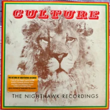 Vinyl RSD - THE NIGHTHAWK RECORDINGS