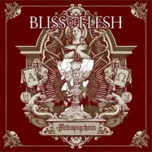 Vinyl Metempsychosis