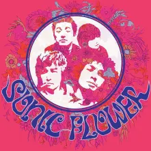Vinyl SONIC FLOWER