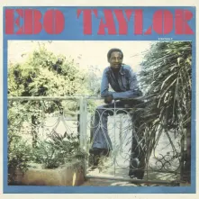 Vinyl EBO TAYLOR