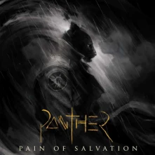 Vinyl PAIN OF SALVATION - PANTHER