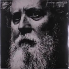 Vinyl ANOTHER PERFECT DAY