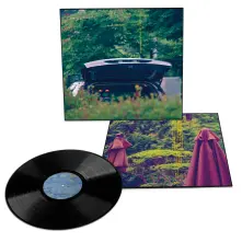Vinyl PAREIDOLIA