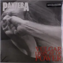 Vinyl Vulgar Display of Power
