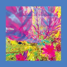 Vinyl THE PAST IS A GARDEN I NEVER FED
