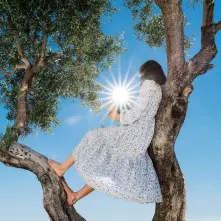 CD LITTLE MISS SUNSHINE