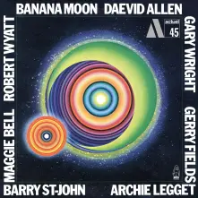 Vinyl BANANA MOON