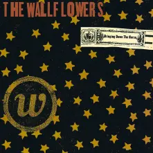 Vinyl BRINGING DOWN THE HORSE