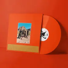 Vinyl WELCOME TO THE MOOD