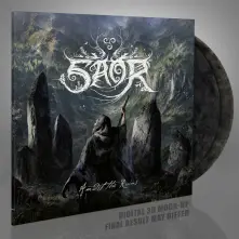 Vinyl AMIDST THE RUINS