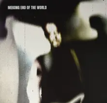 Vinyl END OF THE WORLD