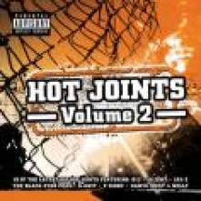 CD  RUZNI/POP INTL - HOT JOINTS 2