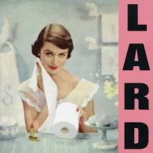 CD PURE CHEWING SATISFACTION