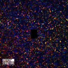 CD UNEVEN STRUCTURE - PARAGON