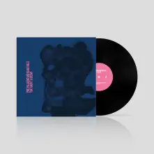 Vinyl THAT WASN'T A DREAM
