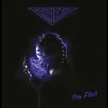 Vinyl NEW FLESH