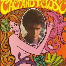 Vinyl TROPICALIA