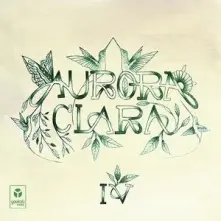 Vinyl IV