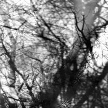 Vinyl WAY THEIR CREPT