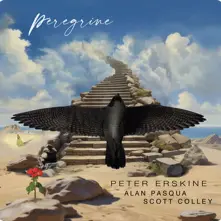 Vinyl PEREGRINE