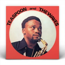 CD TEASPOON & THE WAVES