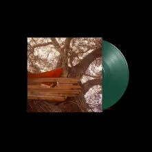 Vinyl WAITING TO SPILL
