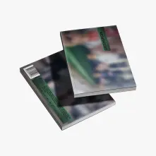 CD GREENGREEN BRIDGE VER.