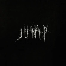 Vinyl JUNIP
