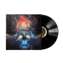 Vinyl THE CONNECTION