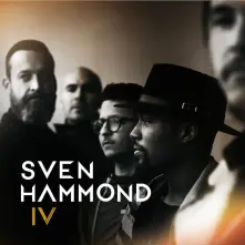Vinyl IV