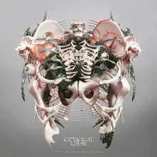 Vinyl The Weight of Sound