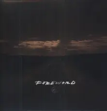Vinyl FOREWORD
