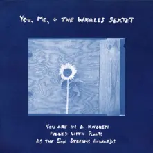 Vinyl YOU ARE IN A KITCHEN FILLED WITH PLANTS AS THE SUN STREAMS INWARDS