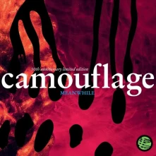 CD CAMOUFLAGE - MEANWHILE