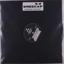 Vinyl SAYONARA / THE RECAP