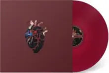 Vinyl KNOW BETTER LEARN FASTER