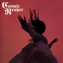 Vinyl BLEED THE WICKED, DROWN THE DAMNED
