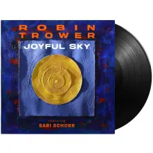 Vinyl JOYFUL SKY