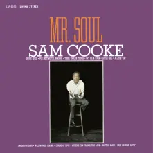Vinyl Mr. Soul