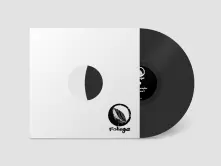 Vinyl FOLIAGE RECORDS VINYL SAMPLE