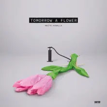 Vinyl TOMORROW A FLOWER