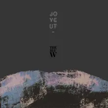 Vinyl THEBLUWAVE