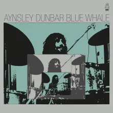 Vinyl BLUE WHALE